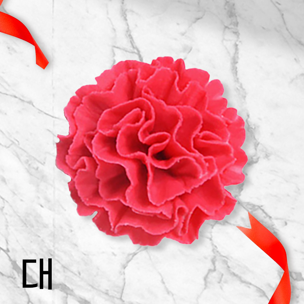ī���̼� �ӷ� ���� �� 1���� 5.5cm �ӱ��ö�� ����ũ �ӷ� ���� �����ǳ�
