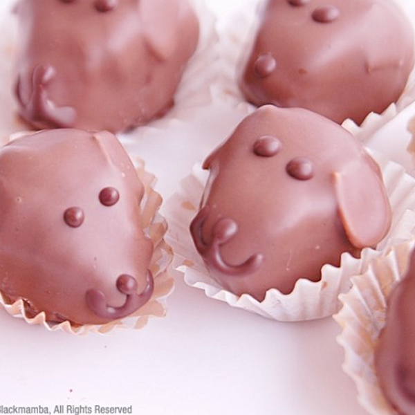 [��·�����] ���� ���� Ʈ���� ���ݸ� ����� �ͽ��� ����� ���ݸ�